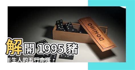 1995 豬|95年五行：你不知道的